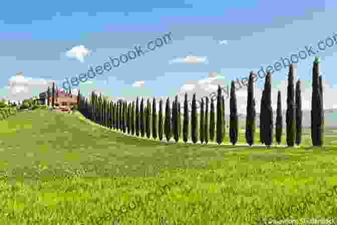 A Beautiful Tuscan Landscape, With Rolling Hills, Vineyards, And Cypress Trees Pictures From Italy (Penguin Classics)