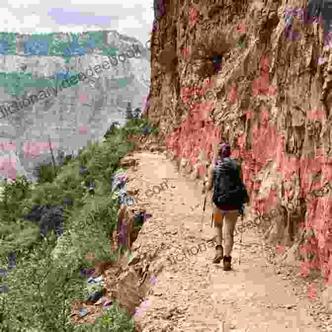Ginnie West Hiking In The Grand Canyon Being West Is Best (A Ginnie West Adventure 4)