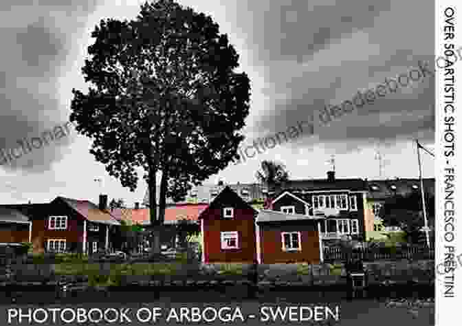 Hidden Symmetry PHOTOBOOK OF ARBOGA SWEDEN: OVER 50 ARTISTIC SHOTS FRANCESCO PRESTINI