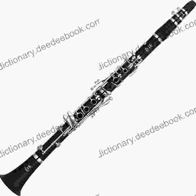 Yamaha YCL 255 Intermediate Clarinet Silver Plated Clarinet Student 1 (Student Instrumental Course)
