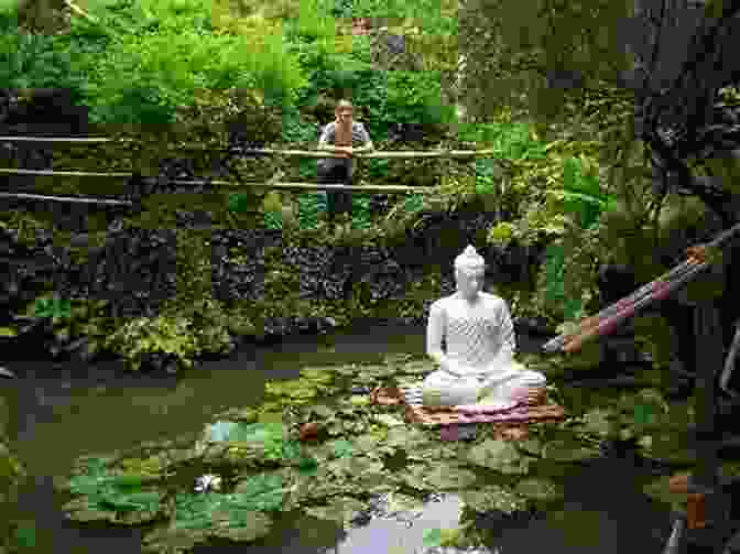 Zen Master Meditating In A Peaceful Garden Bearing Witness: A Zen Master S Lessons In Making Peace