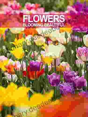 Flowers: Blooming Beautiful John Steinbeck