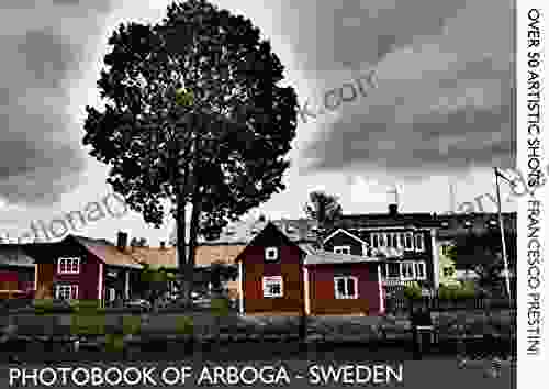 PHOTOBOOK OF ARBOGA SWEDEN: OVER 50 ARTISTIC SHOTS FRANCESCO PRESTINI