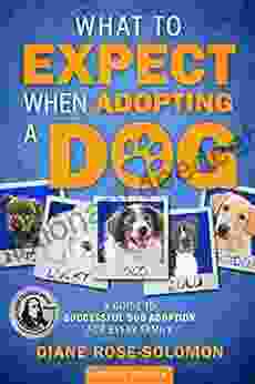 What To Expect When Adopting A Dog: A Guide To Successful Dog Adoption For Every Family