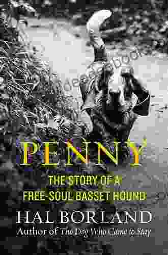 Penny: The Story Of A Free Soul Basset Hound